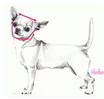 Cat/Dog Wig "Dorothy"