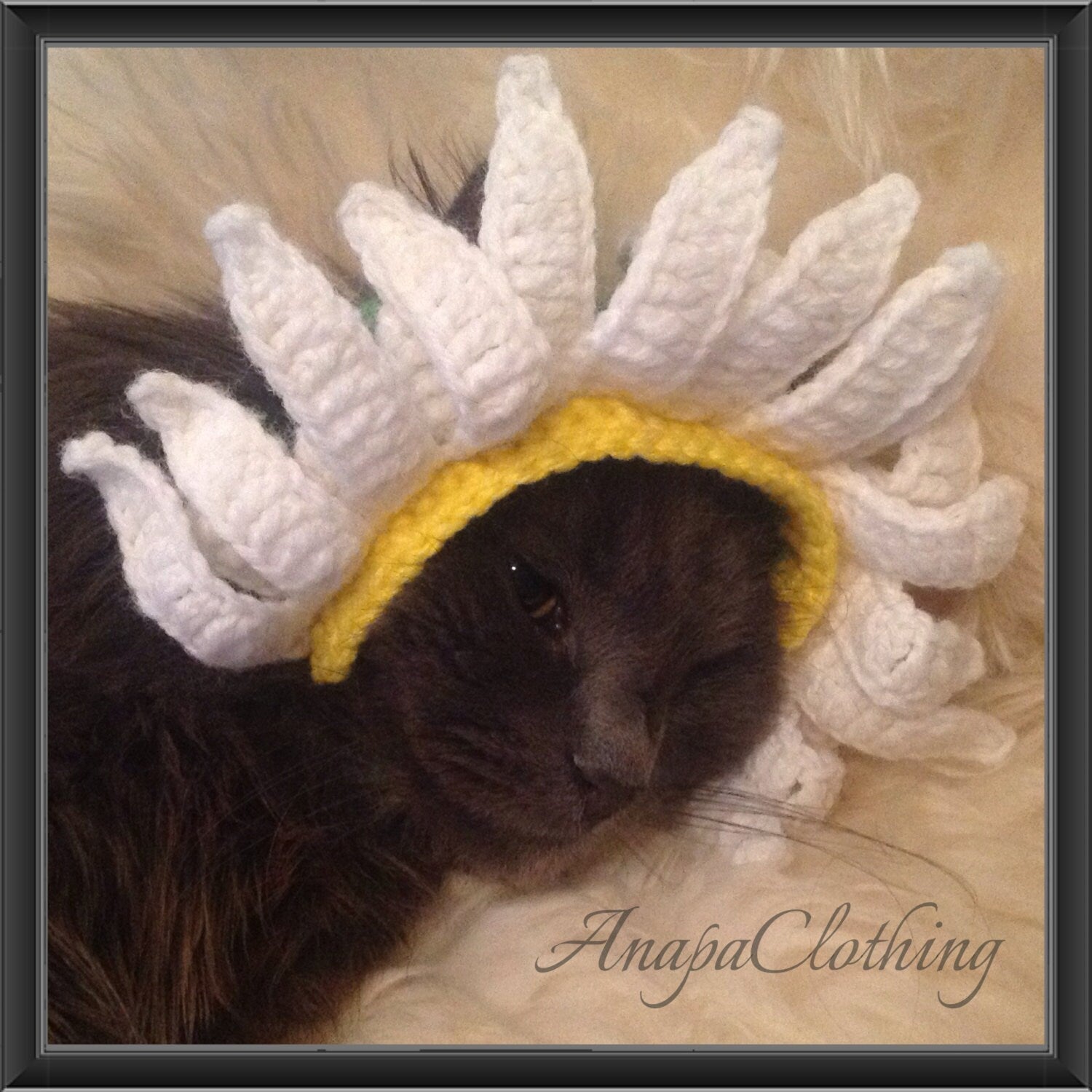 Cat/Dog Wig "Daisy"